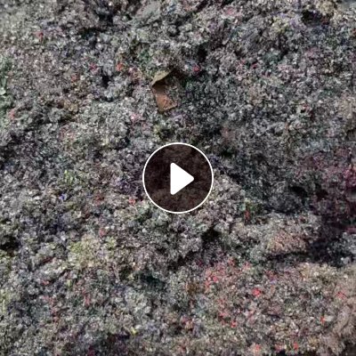 出售油漆粉，10个吨包