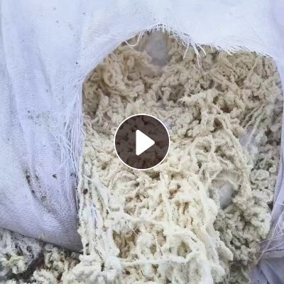 求购涤纶废丝，涤棉水丝，涤纶丝，开花用，厂在山东临沂