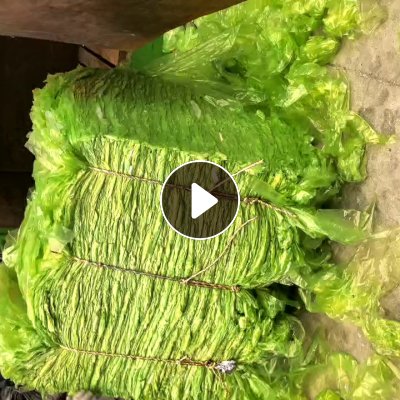 出售PE绿膜，干净无胶，是铝板厂下来的，现货十几吨