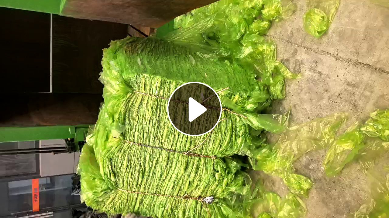出售PE绿膜，干净无胶，是铝板厂下来的，现货十几吨