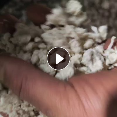出售白色PET泡料，都是涤纶丝涤纶布做的泡料，一个月1000吨