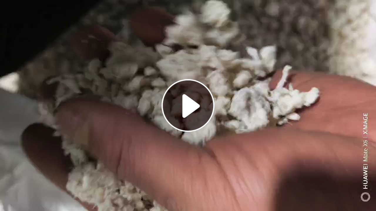 出售白色PET泡料，都是涤纶丝涤纶布做的泡料，一个月1000吨
