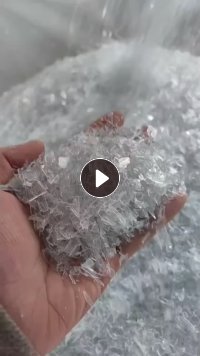 大量求购PP透明吸塑片破碎料，一天就要一两百吨