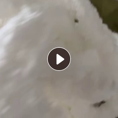 出售做毛毯下来的涤纶废丝，涤纶丝，300D，现货5吨，货在浙江金华