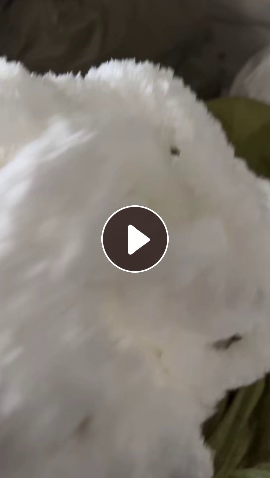 出售做毛毯下来的涤纶废丝，涤纶丝，300D，现货5吨，货在浙江金华