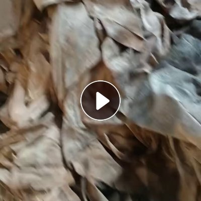 长期出售涤纶过滤布，过滤布，现货几十吨