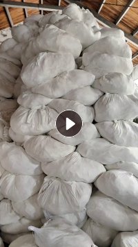 长期大量出售擦机布原料，牛奶丝，牛奶丝磨毛料，也有不磨毛的，品种很多，厂在浙江绍兴