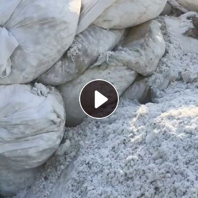 长期出售白色涤纶磨毛料，毛毛料，含水30，月供100吨