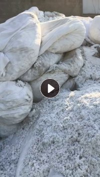 长期出售白色涤纶磨毛料，毛毛料，含水30，月供100吨