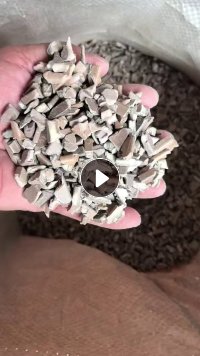 长期求购pps烤架水口破碎料，月需求20吨
