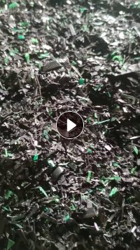 出售干粉黑色PET打包带破碎料