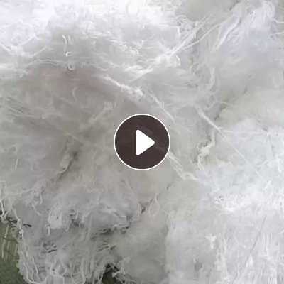 长期出售加弹厂下来的涤纶高弹丝，加弹丝，有分白色跟杂色，货在江苏苏州