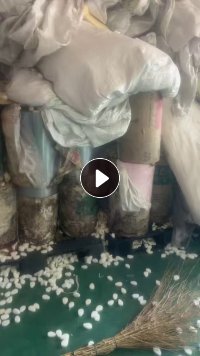 出售注塑厂下来的PVC卷膜，TL-800，现货2吨多