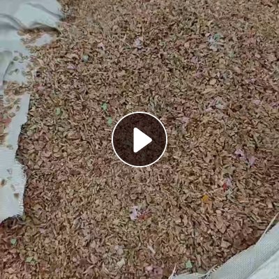 长期出售pp管芯破碎料，各种颜色都有，月供50吨