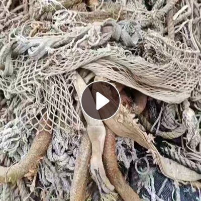 长期出售涤纶缆绳保险网吊带，轮船上下来的，现货10吨，货在江苏连云港