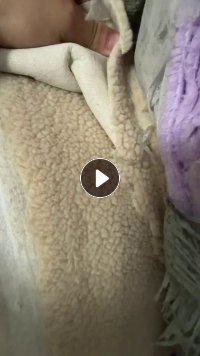 出售羊羔绒复合无纺布，羊羔绒库存布，门幅1.5米，货在山东青岛