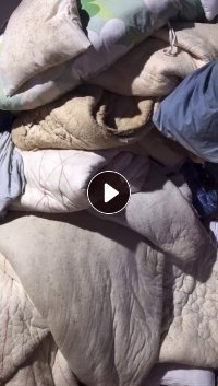 长期出售棉花被丝棉被化纤棉被，有撕掉布的也有没有撕掉布的