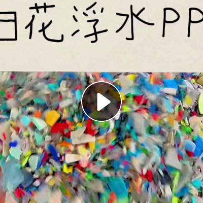 长期出售全漂pp花丙破碎料