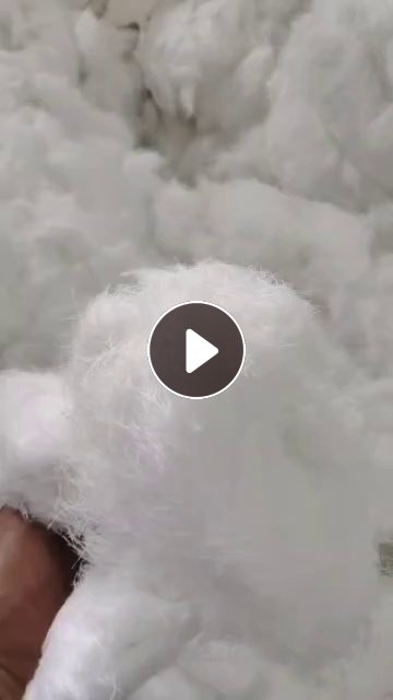 长期出售剪毛厂下来的涤纶废丝，毛毛料，涤纶剪毛料，含水分，现货五六十吨