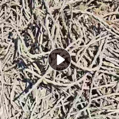出售废旧缆绳，绳子，可以做燃烧用，现货两百吨，货在河南新乡