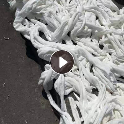 长期出售白色涤纶废布，涤纶下脚料，涤纶边角料，月供100吨，在浙江杭州。