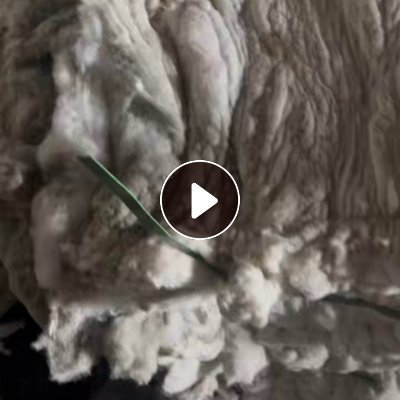 长期出售气流纺中化飞短，气流纺下脚料，现货10吨，在四川南充。