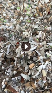 出售中性PVC墙纸破碎料，现货二十吨