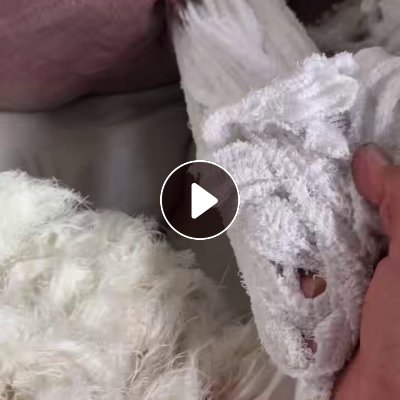 长期出售做毛巾下来加捻过的人造丝，现货20吨，货在河南焦作