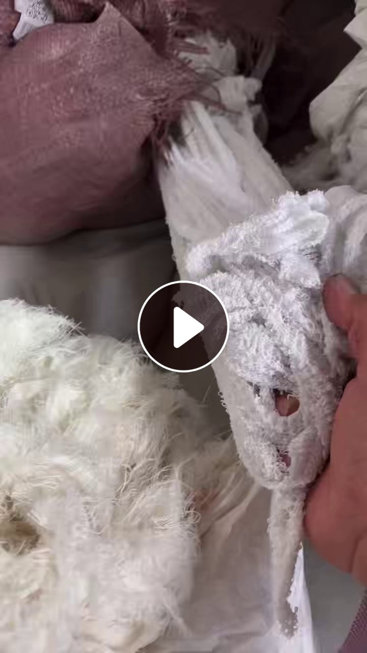 长期出售做毛巾下来加捻过的人造丝，现货20吨，货在河南焦作