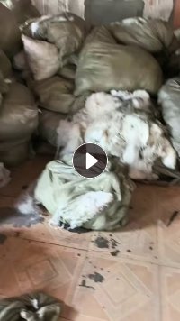 出售白色PBT复合PET废丝，现货有9吨，货在江苏无锡
