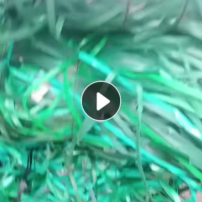 求购绿色PET 打包带，纺织厂下来的最好，山东临沂