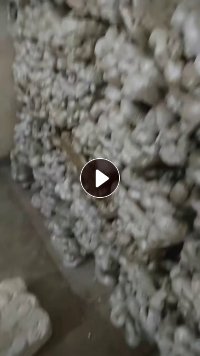长期出售中白eps冷压块社会料，长期有货出