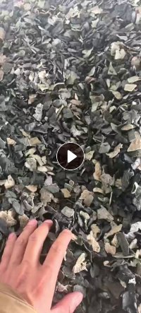 长期出售汽车内饰破碎料，清洗甩干的