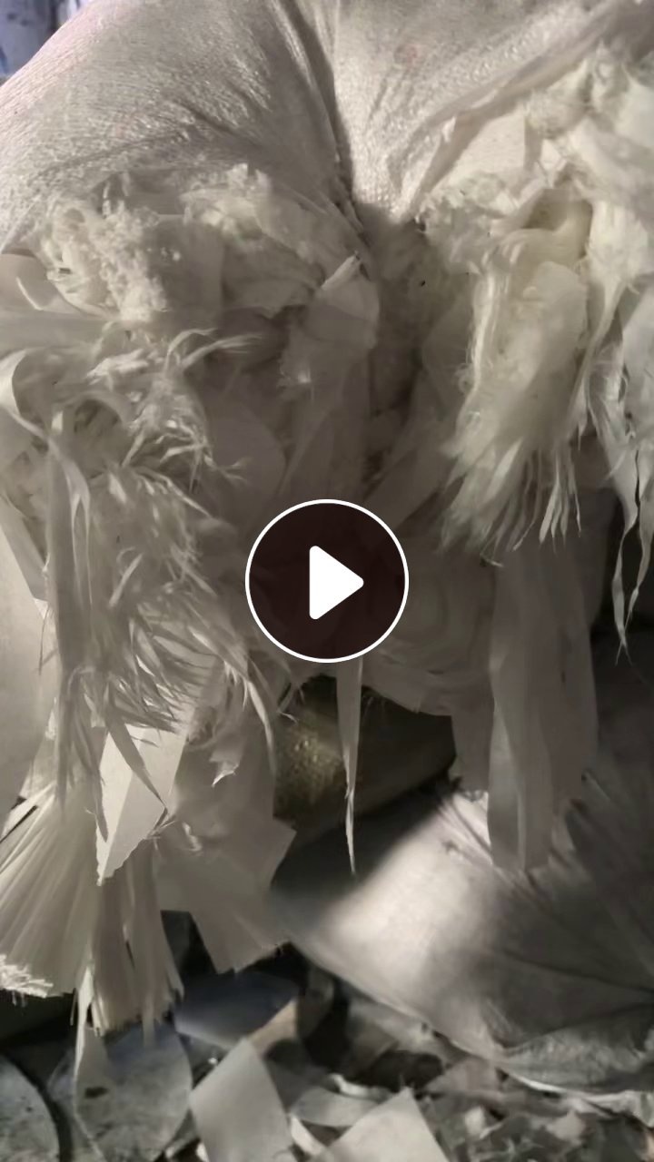长期出售涤棉碎布，涤棉口袋布，涤棉废布，含棉30左右，都有分拣开的，在广东广州。