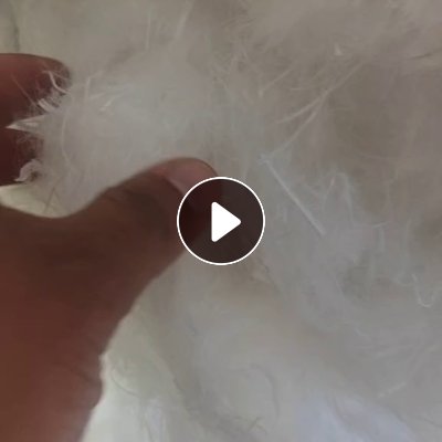 长期出售4080废丝开的开松棉，开花棉，化纤棉，含水3-5个，货在河北保定