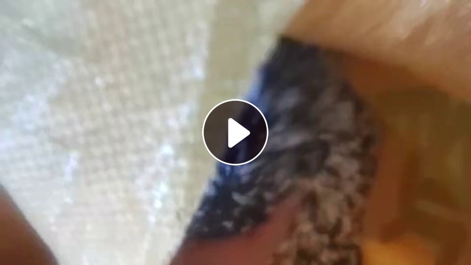 长期出售pp文具片破碎料，现货100多吨