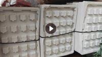 出售pp吸塑盒毛料，乳白吸塑盒