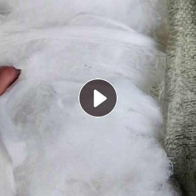 长期出售氨纶废丝，氨纶丝，氨纶干丝，货在河南新乡