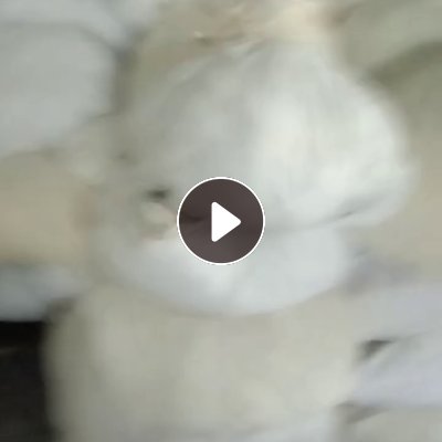 长期出售旧衣服分拣白料，冬装，夏装，毛衣，冬装月供3车6米8，夏装1车4米2，毛衣2车4米2