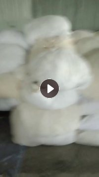 长期出售旧衣服分拣白料，冬装，夏装，毛衣，冬装月供3车6米8，夏装1车4米2，毛衣2车4米2