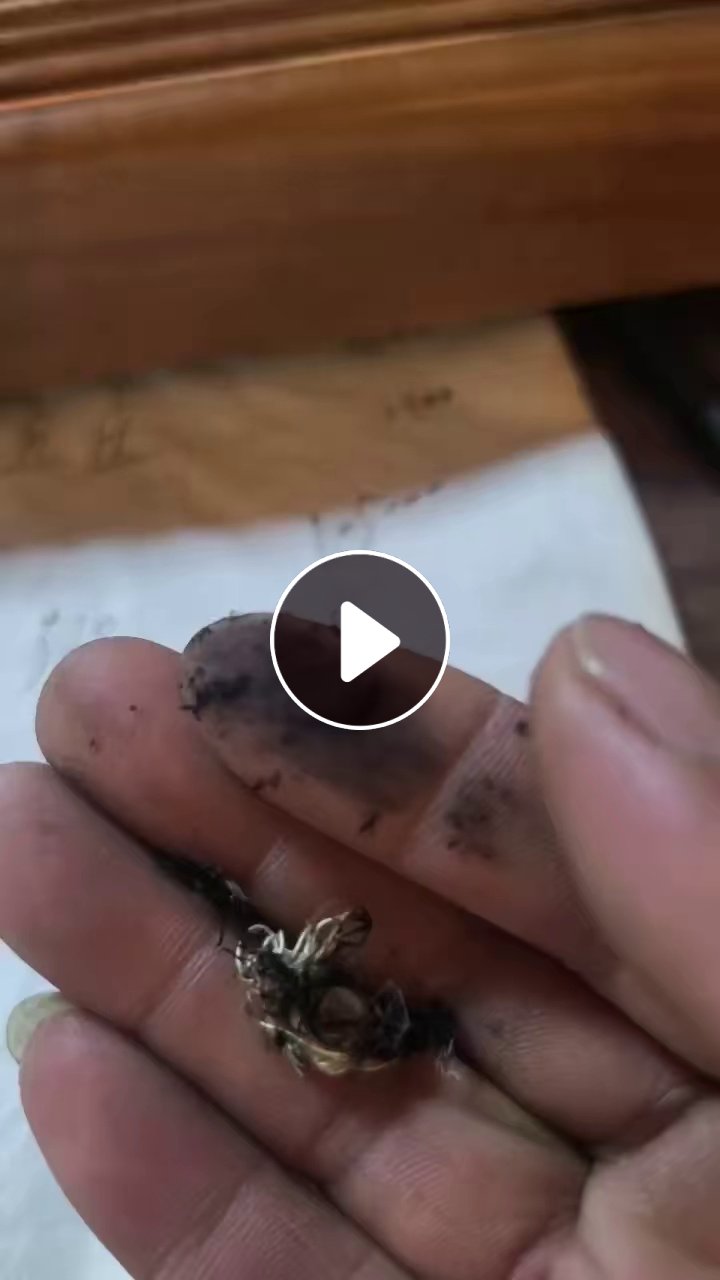 长期出售水洗棉纱小混纺，融度好，价格实惠，少量含化纤
