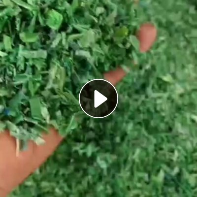 出售纯pet打包带破碎料，水粉出来的，黑色和绿色有分开，现货40吨，月产130吨