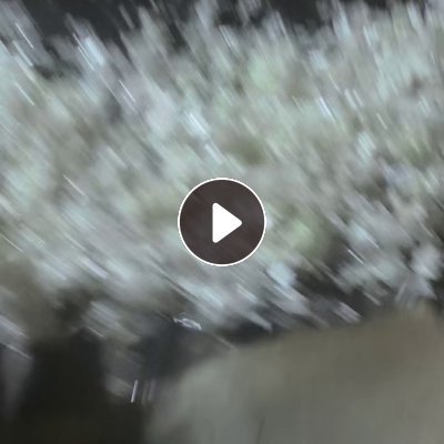 长期出售PVC大白沙发膜破碎料