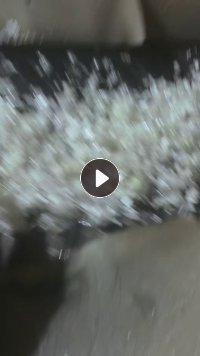 长期出售PVC大白沙发膜破碎料
