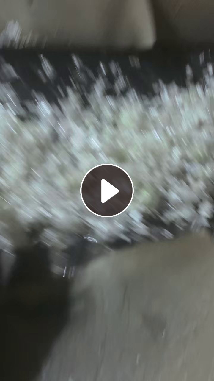 长期出售PVC大白沙发膜破碎料