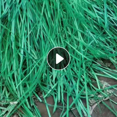 求购纺织厂里面的PET打包带，大量要，山东临沂