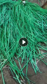 求购纺织厂里面的PET打包带，大量要，山东临沂