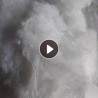 长期出售白色毛衣片开的开松棉，开花棉，纤维长度3公分左右，厂在河北保定
