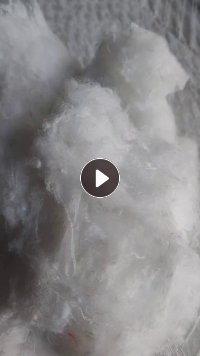 长期出售白色毛衣片开的开松棉，开花棉，纤维长度3公分左右，厂在河北保定