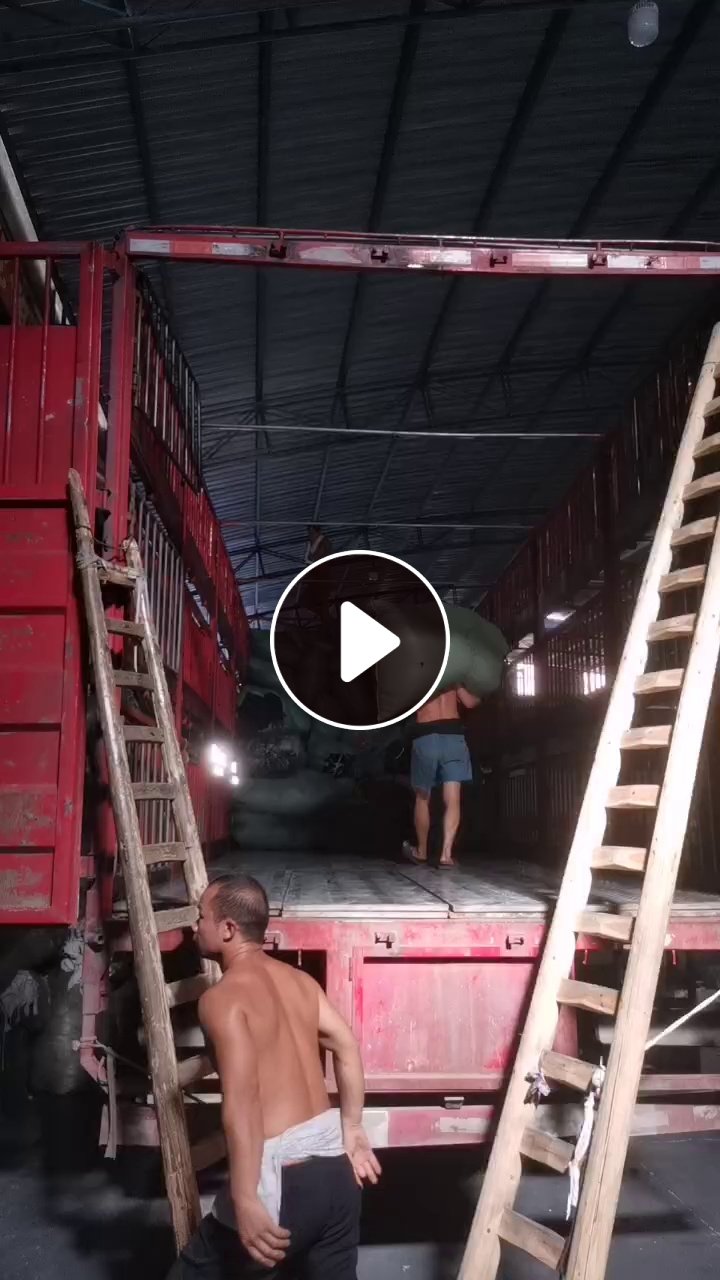 源产地出售多种杂色化纤弹力定形条  火龙果条 玩具条 地毯条